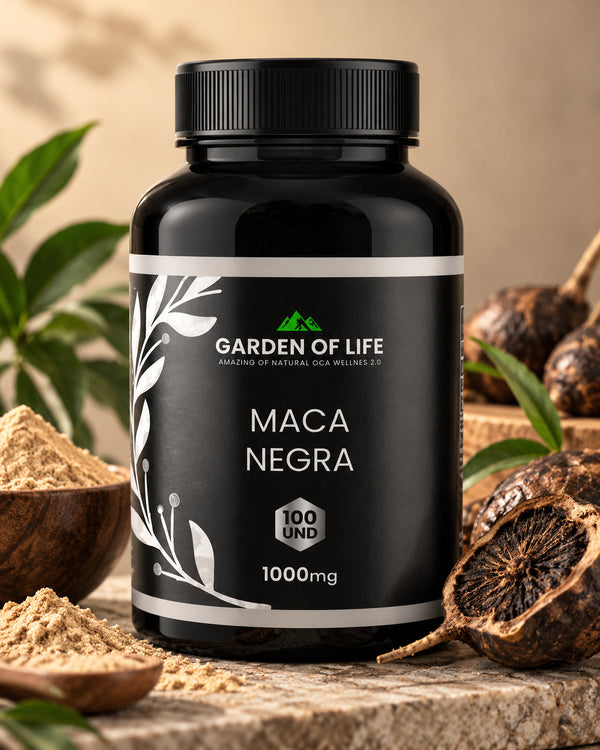 Combo maca negra y tongkat ali entre raíces