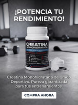 Creatina Monohidratada 300 g en Polvo | Envío Gratis Colombia